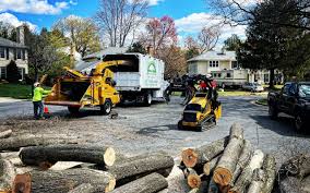 Reliable Malaga, NJ Tree Care Services Solutions