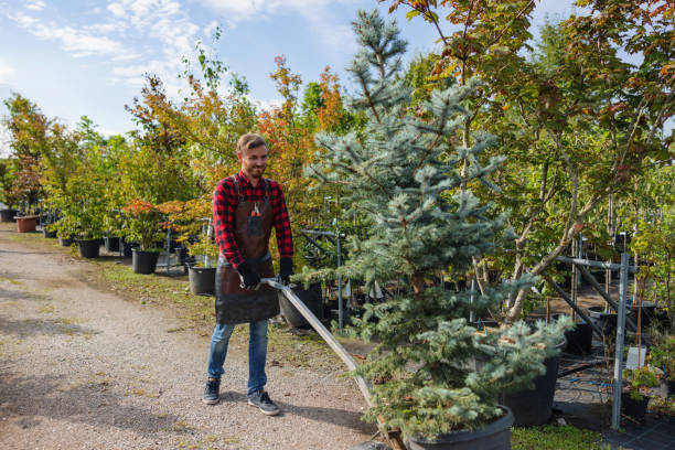 How Our Tree Care Process Works  in  Malaga, NJ